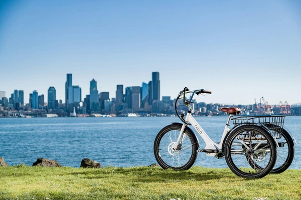 Vélo cargo électrique : une solution économique pour la ville